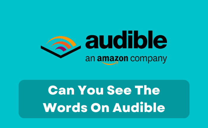 Can You See The Words On Audible